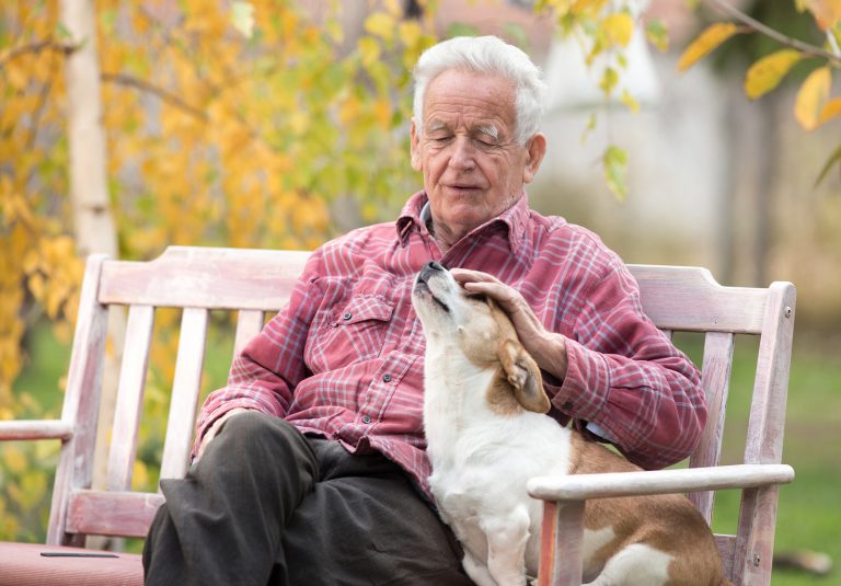 Top 5 Pets for Seniors Vital Home Health Services