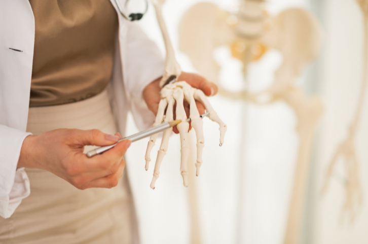 Doctor demonstrating bone health